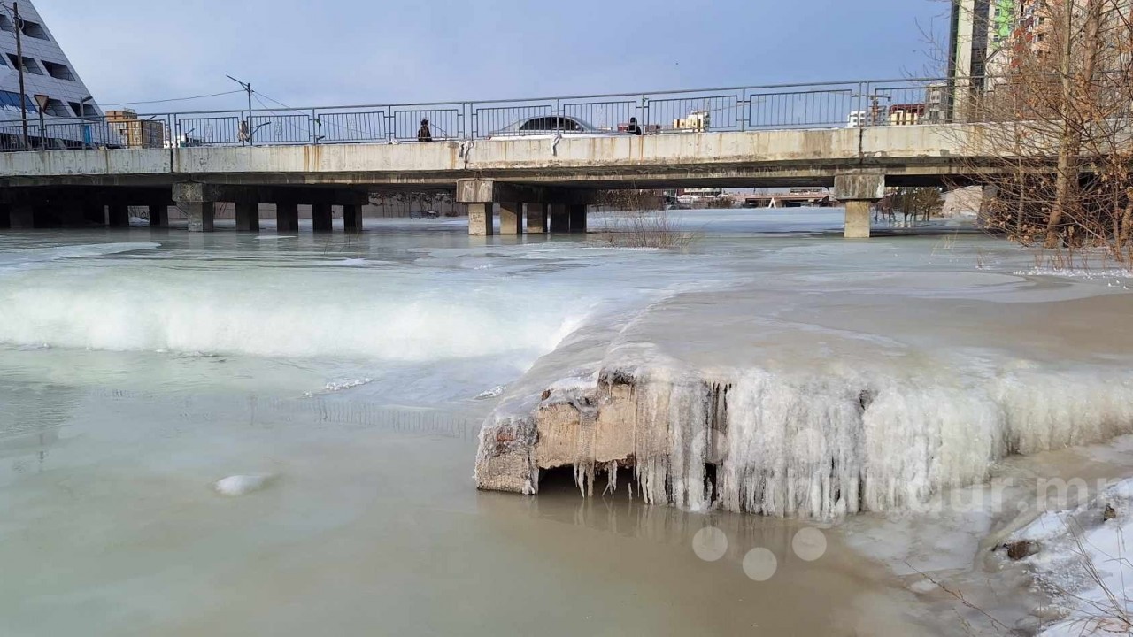 Зургаан байршилд өмнөх жилүүдийн дунджаас илүү хэмжээгээр халиа үүсээд байна